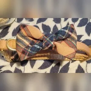 Gallery image 4 for Merry & Bright/Simply Wag Dog Apparel, Small