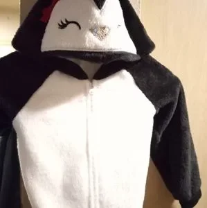 The Children's Place Hoodie, 4T