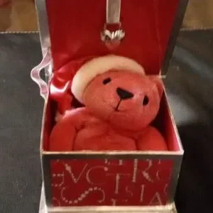 Gallery image 1 for Victoria's Secret Plush Bear & Box