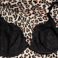 Gallery image 2 for Cacique Plus Size Bra, 44DD