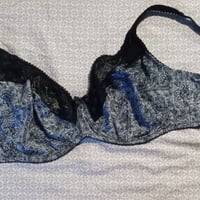 Gallery image 1 for Bra, 110D or 42C U.S. Size