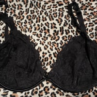 Cacique Plus Size Bra, 44DD