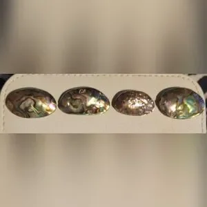 Gallery image 1 for Abalone Beads, Set of 4