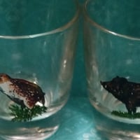 Vintage WildLife Shot Glasses, Set of 4