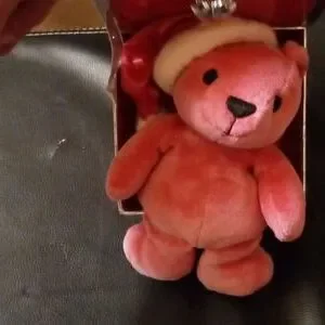 Gallery image 2 for Victoria's Secret Plush Bear & Box